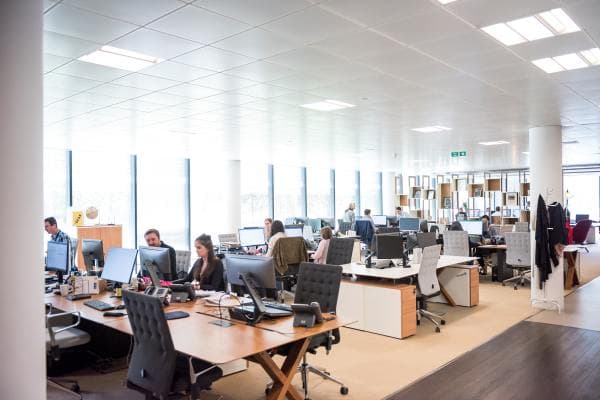 Write More blog post about The Importance of Writing Skills in the Workplace: The Case for Professional Writing and How You Can Start Improving These Skills Right Away