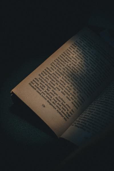 Write More blog post about Reasons Your Book is Getting Rejected by Publishers.