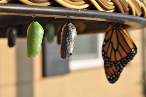 Write More blog post about The Evolution of the Writing Process: From Idea to Publication